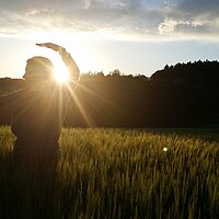 Qi Gong der fünf Elemente